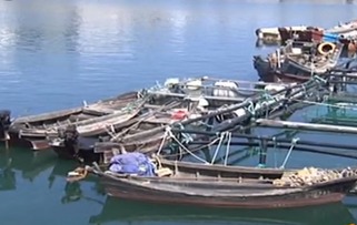 青島銀沙灘一漁船突發火災 兩名船員跳海逃生