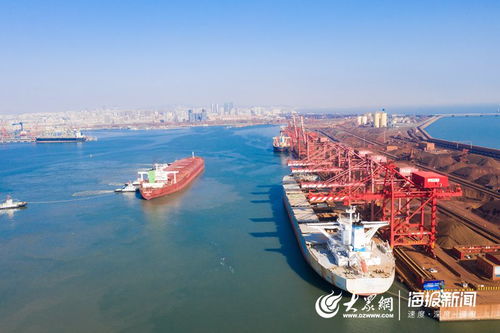 心手相連 共克時艱 山東省港口集團(tuán)公布疫情防控期間5項港口服務(wù)承諾