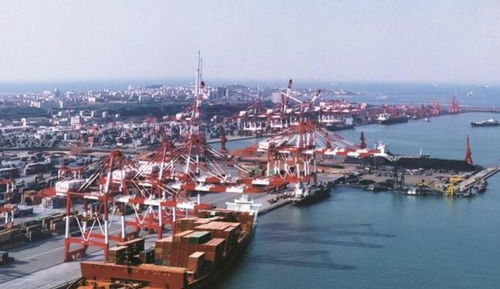 青島將崛起的黑馬區(qū),深受游客喜愛,不是李滄也不是黃島